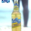 Flying Fish